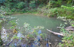 Matney Hollow Rd, Seymour, MO 65746