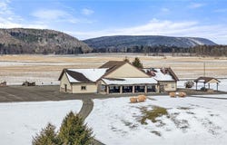 29 Fisher Settlement Road, Spencer, NY 14883