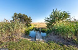 14 HAMMOCK POINTE, CRISFIELD, MD 21817