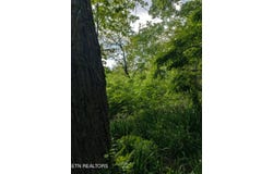 2341 Jims Way, Sevierville, TN 37876