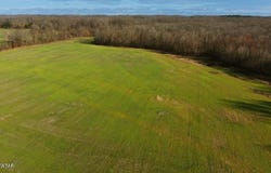 1471 Douglas Loop, Stanton, TN 38069