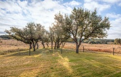 5550 S US Highway 87, Brady, TX 76825
