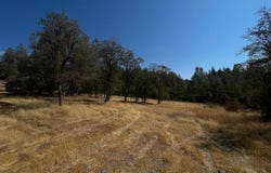 0001 Madison Avenue, Oak Run, CA 96069