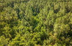 1 Highway 165, Kinder, LA 70648