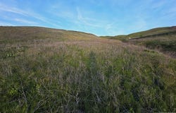Bethel Rd, Horseshoe Bend, ID 83629
