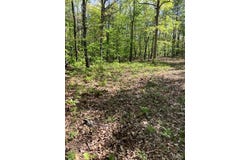 001 County Road 342, Centerville, MO 63633