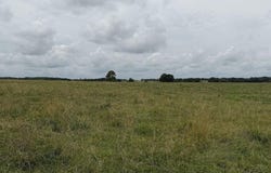 Tract 2 State Route T, Bolivar, MO 65613