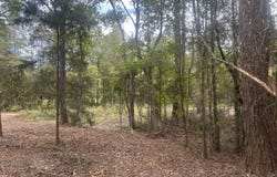 Jasper Ln, Summerton, SC 29418