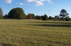 16 LOTS Merion Dr., Eufaula, AL 36027