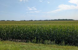 15670 610th Ave, Chokio, MN 56221