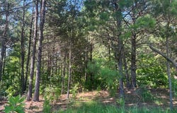 251 PR 7701, San Augustine, TX 75972