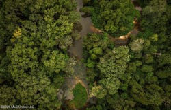 3300 Peoria Road, Liberty, MS 39645