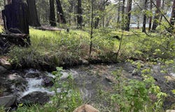 6120 Diamond Mountain Road, Taylorsville, CA 95983