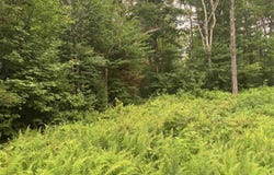 185 Valley View Road, Dover, VT 05356