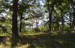 Cliffside Drive lot: 12, Galena, MO 65656