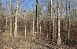 1245 Strike King Dr (Lot 191), Cedar Grove, TN 38321