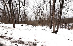 149 Sunset Drive, Wappingers Falls, NY 12590