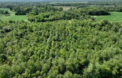 0002 Duck Road, Hume, MO 64752