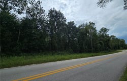9830 NE 65TH Lane, BRONSON, FL 32621