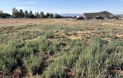 Road 24.8, Dolores, CO 81323