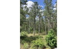 OLD DODSON ROAD, Dodson, LA 71422