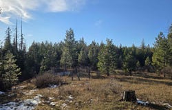407 Memory Lane, Orofino, ID 83544