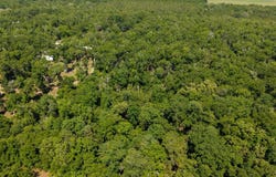 4509 NW 63rd Ter, Bell, FL 32619