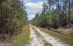Nc-903, Stokes, NC 27884
