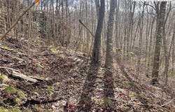 Overlook Lane, Todd, NC 28684