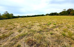 E Highway Tract 3, Eagle Rock, MO 65641