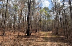 7501 GLASSY MILL Road, AUBURN, AL 36830