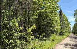 On WILSON SCHOOL ROAD, Tomahawk, WI 54487