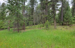 40 EVERGREEN Dr, CURLEW, WA 99118