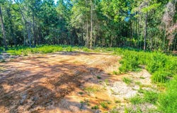 445 County Road 061, Jasper, TX 75951