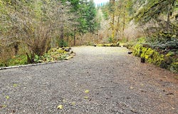 E King Rd, McKenzieBridge, OR 97413
