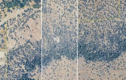 Racoon Way, Oak Run, CA 96069