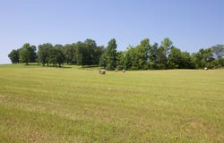 2195 S SLAYDEN Rd, Holly Springs, MS 38635