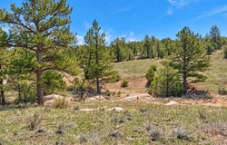 103 Cheyenne Ct, Cotopaxi, CO 81223