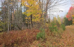 Murray Road lot: 27, Thorndike, ME 04986