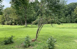 208 MOCKING BIRD LN, TROY, VA 22974