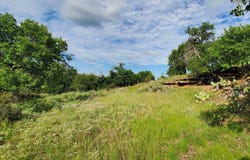 CR 411B, Pontotoc, TX 76869