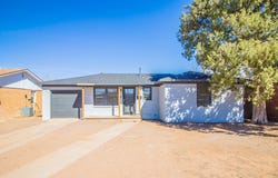 113 E Monroe Street, Levelland, TX 79336