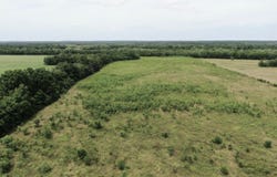 Harris Road, Haworth, OK 74740
