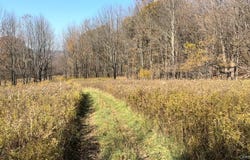 Chaffee Road, Liberty, NY 12754