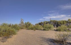 1004 Foothill Blvd, Presidio, TX 79845
