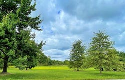 State Route 113, Wakeman, OH 44889