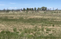 IROQUOIS Way, Driggs, ID 83422