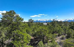 Canyon Drive, Ridgway, CO 81432
