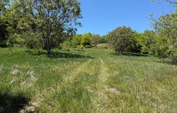 Windy Drive, Marion, VA 24354