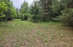 Parcel 1 Maple, Benzonia, MI 49616